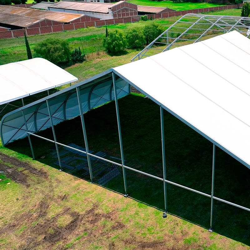 Carpa Losberger Pabellón Árabe Riggingplot MÉRIDA